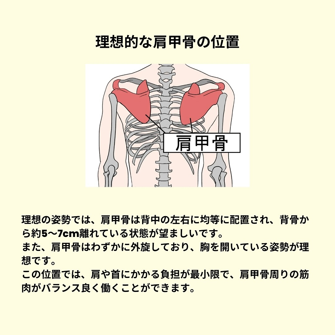 結構気になる人も多いかと思う肩甲骨の開きですが、