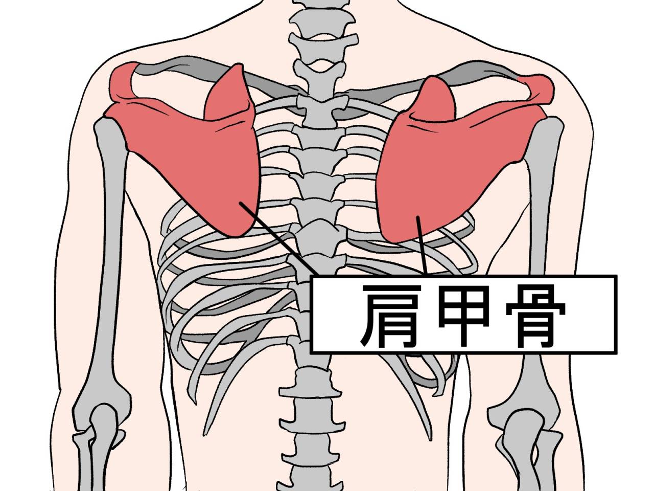 こりっていつ出来る？